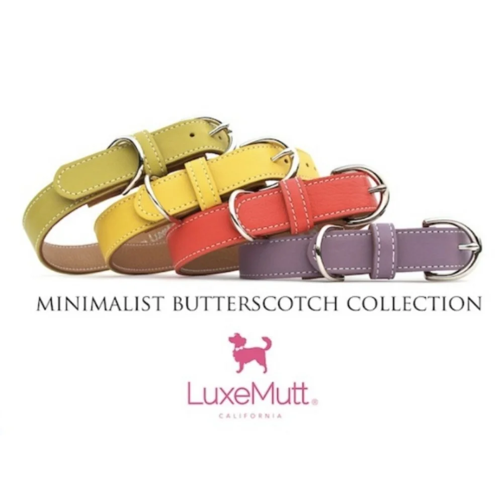 NEW Luxe Mutt Handmade Leather Grapeseed Butterscotch Dog Collar Large 12